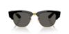 Picture of Ray Ban Sunglasses RB0316S