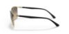 Picture of Ray Ban Sunglasses RB3686