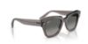 Picture of Ray Ban Sunglasses RB2186