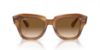 Picture of Ray Ban Sunglasses RB2186
