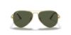 Picture of Ray Ban Sunglasses RB3689