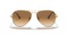 Picture of Ray Ban Sunglasses RB3689