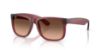 Picture of Ray Ban Sunglasses RB4165