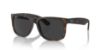 Picture of Ray Ban Sunglasses RB4165