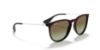 Picture of Ray Ban Sunglasses RB4171