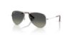 Picture of Ray Ban Sunglasses RJ9506S