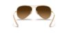 Picture of Ray Ban Sunglasses RB3025
