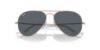Picture of Ray Ban Sunglasses RB3025