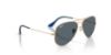 Picture of Ray Ban Sunglasses RB3025
