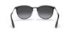 Picture of Ray Ban Sunglasses RB3539
