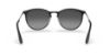 Picture of Ray Ban Sunglasses RB3539