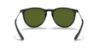 Picture of Ray Ban Sunglasses RB4171F Erika (F)
