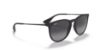 Picture of Ray Ban Sunglasses RB4171F Erika (F)