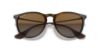 Picture of Ray Ban Sunglasses RB4171F Erika (F)