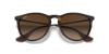Picture of Ray Ban Sunglasses RB4171F Erika (F)
