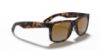 Picture of Ray Ban Sunglasses RB4165 Justin