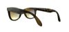 Picture of Ray Ban Sunglasses RB4105 Folding Wayfarer