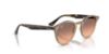 Picture of Ray Ban Sunglasses RB2180F