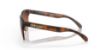 Picture of Oakley Sunglasses FROGSKINS LITE