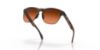 Picture of Oakley Sunglasses FROGSKINS LITE