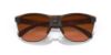 Picture of Oakley Sunglasses FROGSKINS LITE