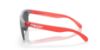 Picture of Oakley Sunglasses FROGSKINS LITE