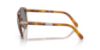Picture of Persol Sunglasses PO0714SM