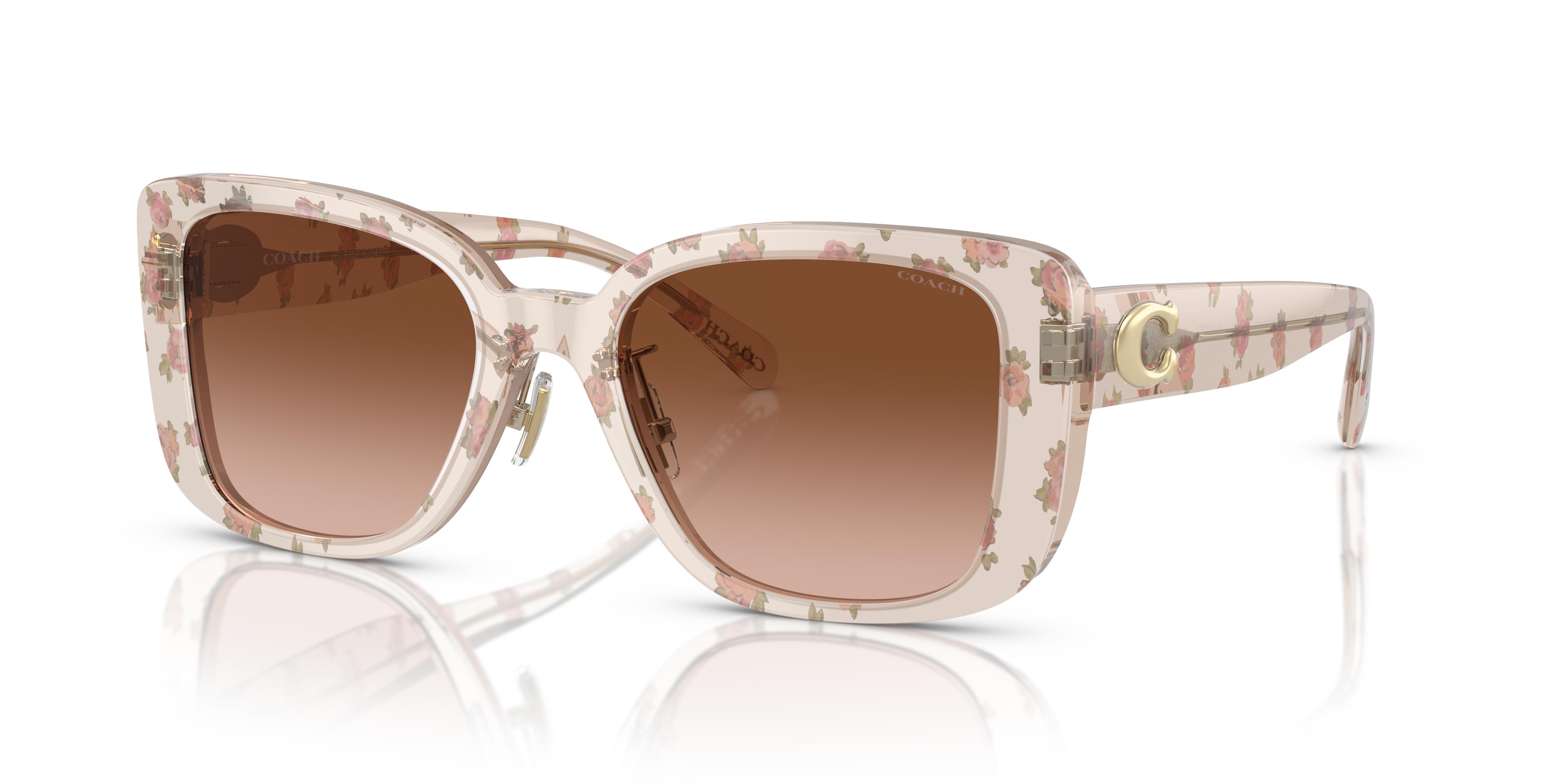 Picture of Coach Sunglasses HC8352