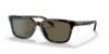 Picture of Coach Sunglasses HC8328U