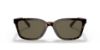 Picture of Coach Sunglasses HC8328U
