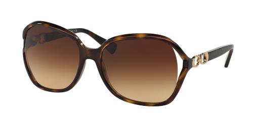 Picture of Coach Sunglasses HC8145