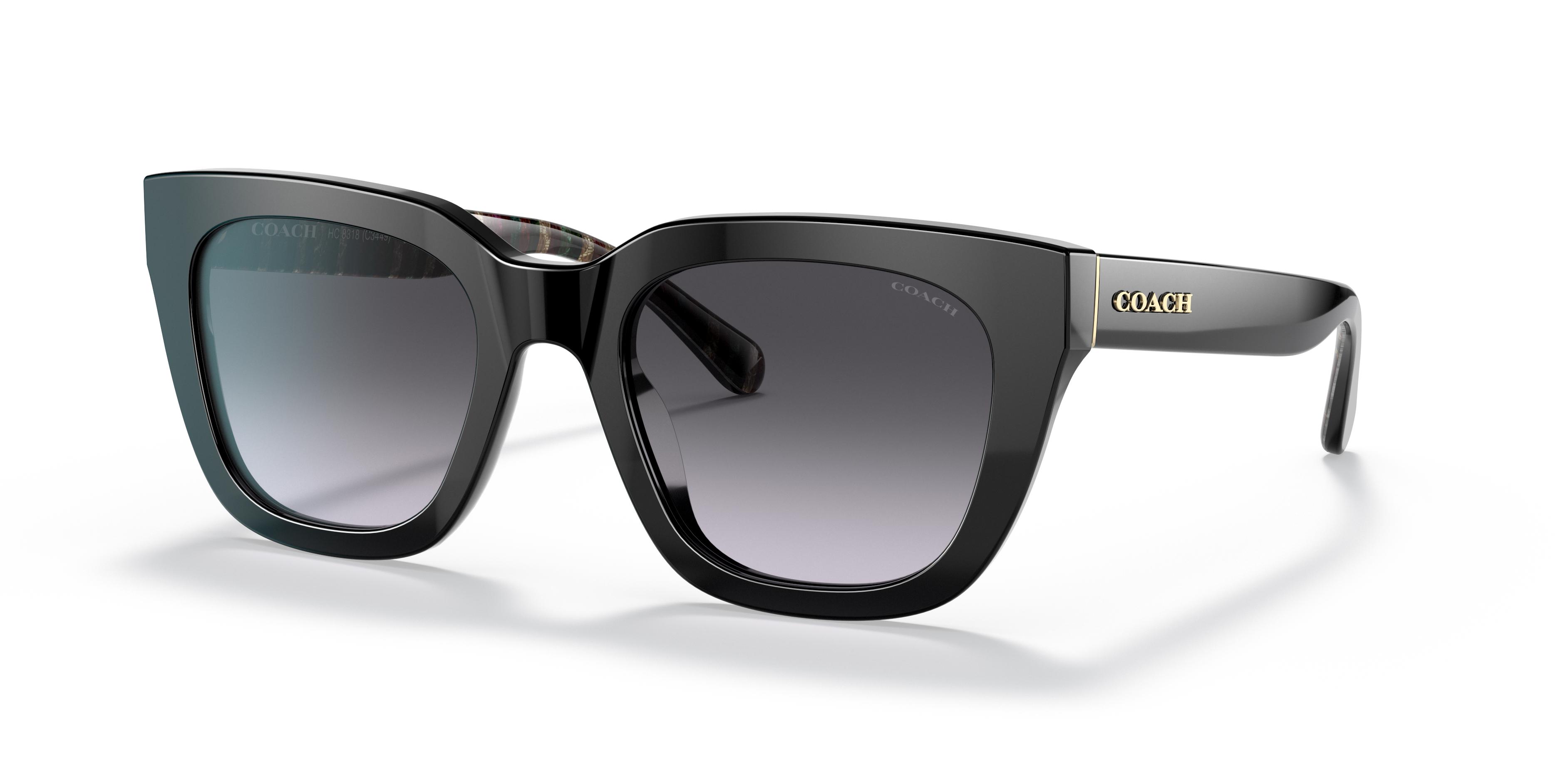 Picture of Coach Sunglasses HC8318