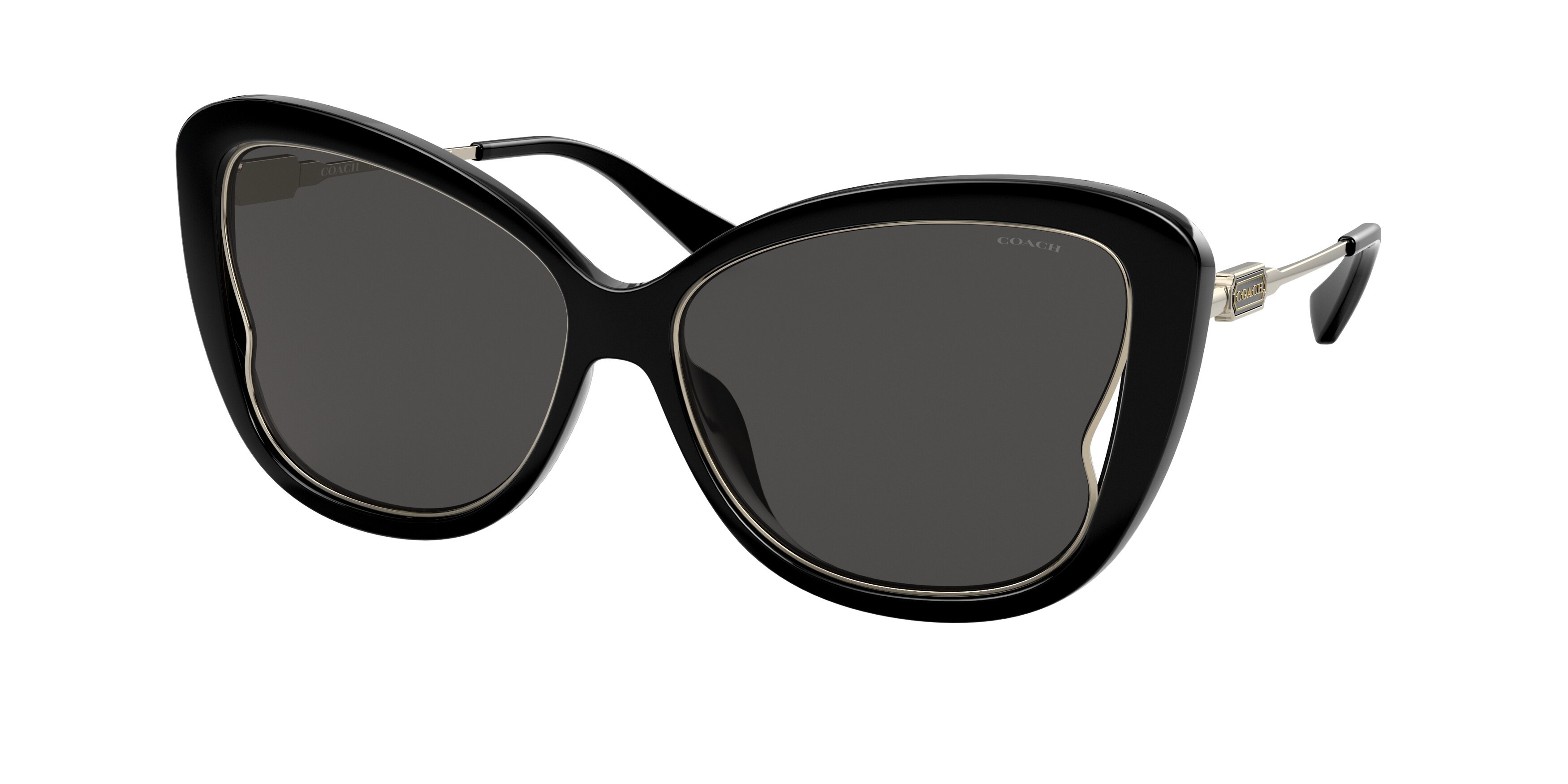 Picture of Coach Sunglasses HC8304U