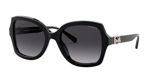 Picture of Coach Sunglasses HC8295