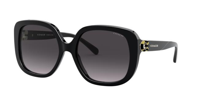 Picture of Coach Sunglasses HC8292