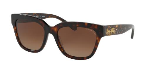 Picture of Coach Sunglasses HC8262