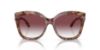 Picture of Coach Sunglasses HC8264