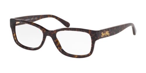 Picture of Coach Eyeglasses HC6133