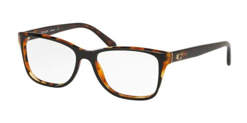 Picture of Coach Eyeglasses HC6129F