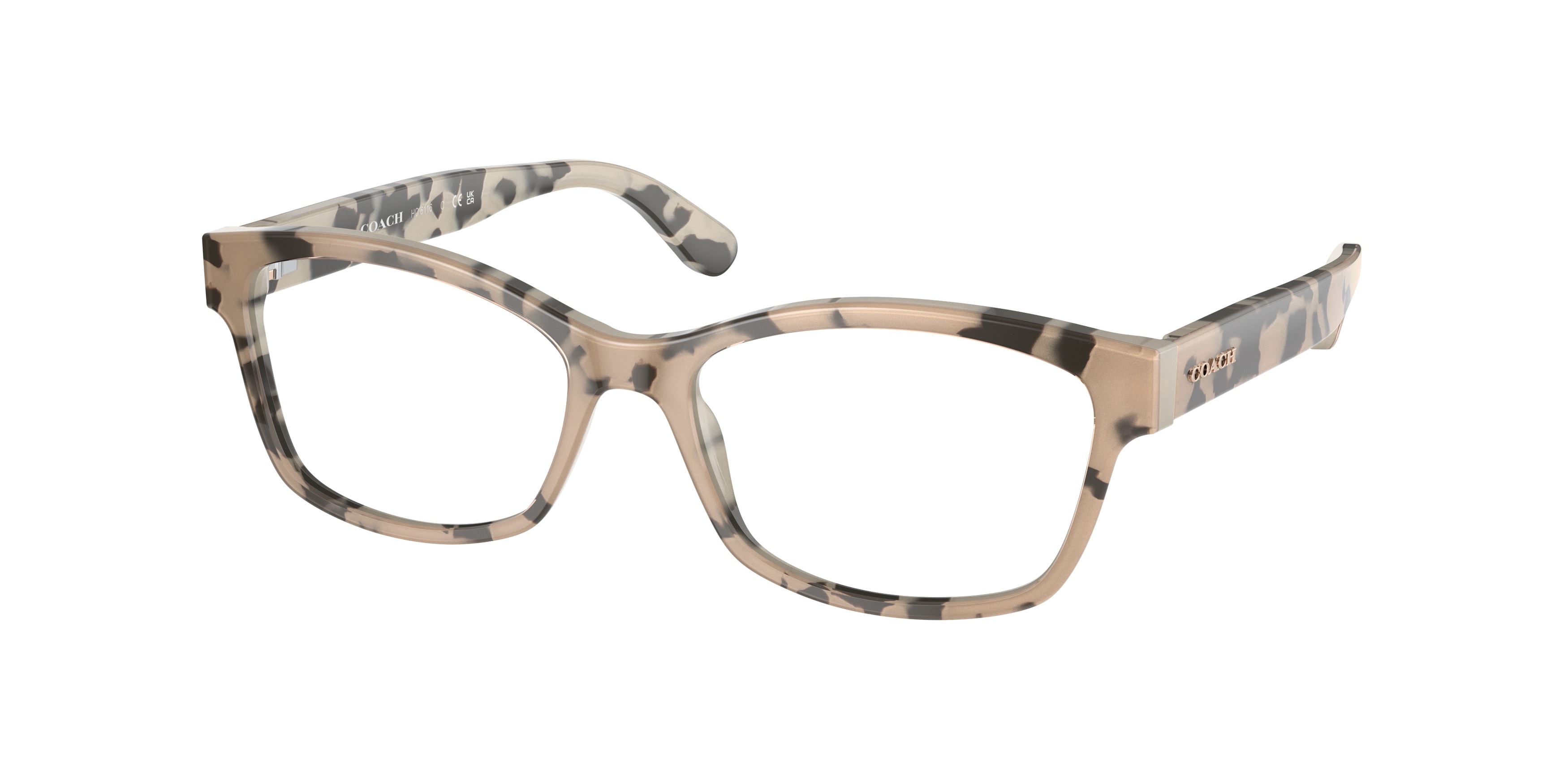 Picture of Coach Eyeglasses HC6116