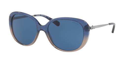 Picture of Coach Sunglasses HC8215