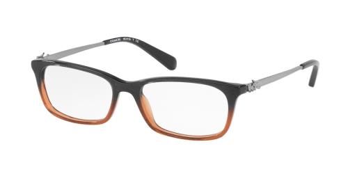 Picture of Coach Eyeglasses HC6110