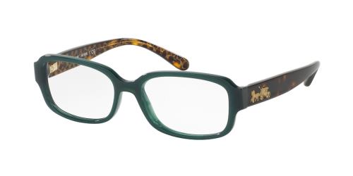 Picture of Coach Eyeglasses HC6105