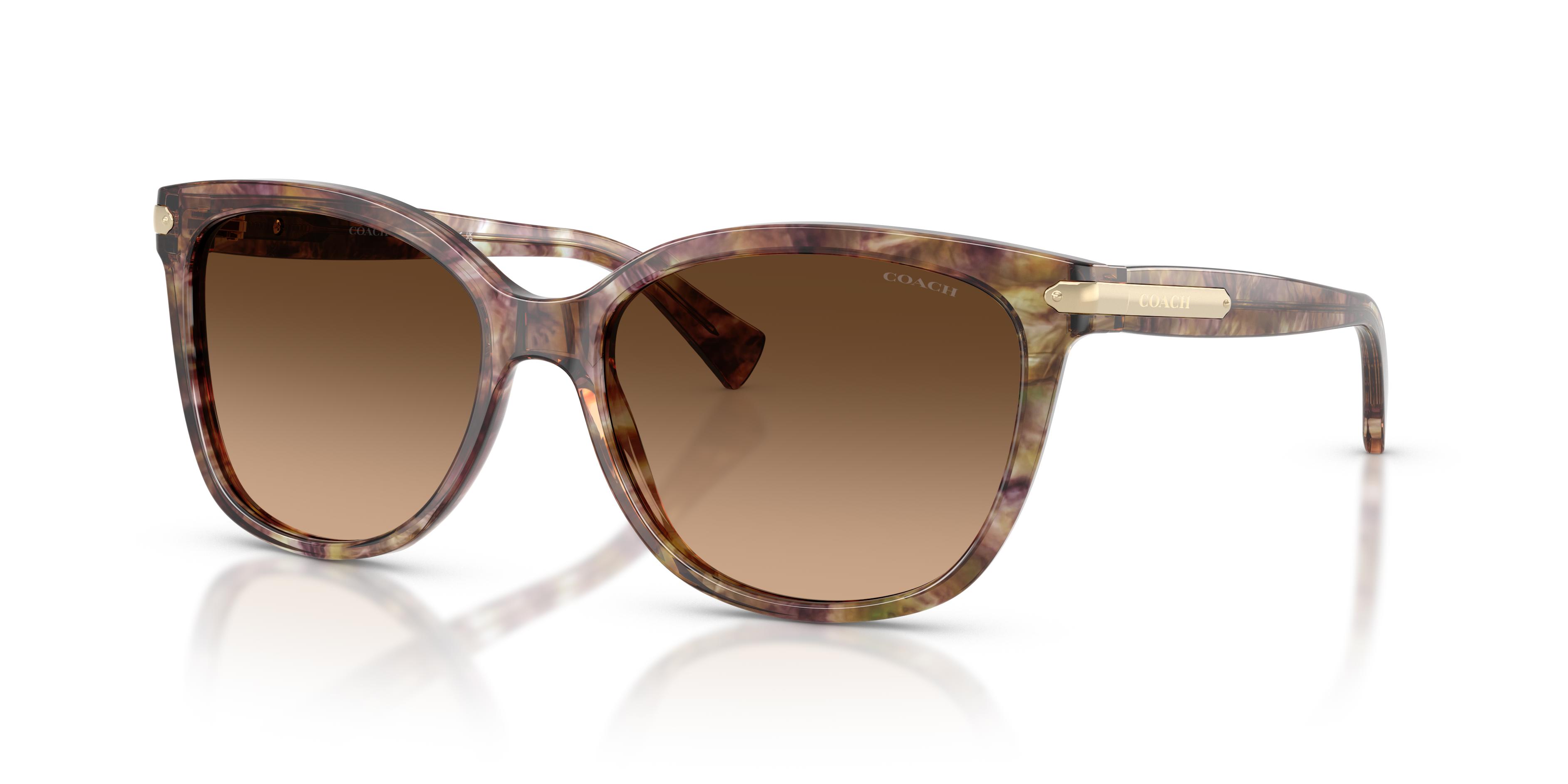 Picture of Coach Sunglasses HC8132 L109