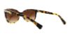 Picture of Coach Sunglasses HC8132 L109