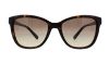 Picture of Coach Sunglasses HC8187B L1597
