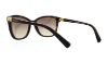 Picture of Coach Sunglasses HC8187B L1597
