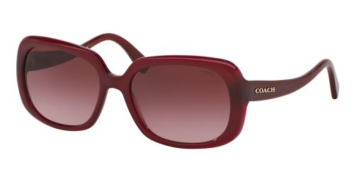 Picture of Coach Sunglasses HC8178 L1591