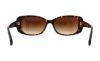 Picture of Coach Sunglasses HC8168 L156