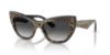 Picture of Dolce & Gabbana Sunglasses DG4417
